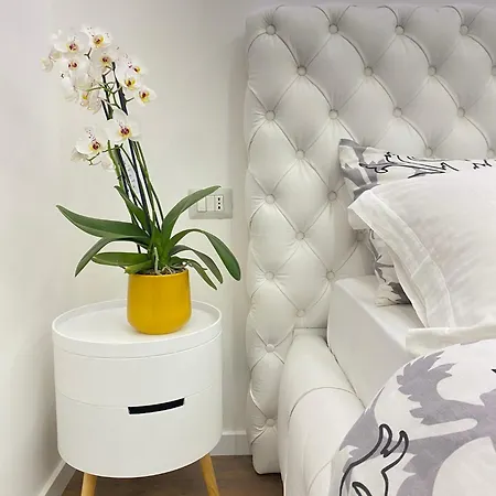 Bed & Breakfast Vatican G&g