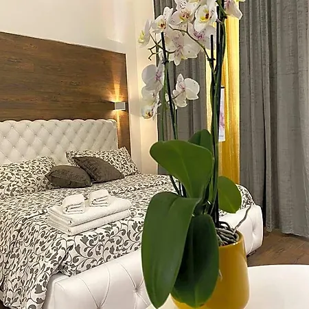 Vatican G&g B&B